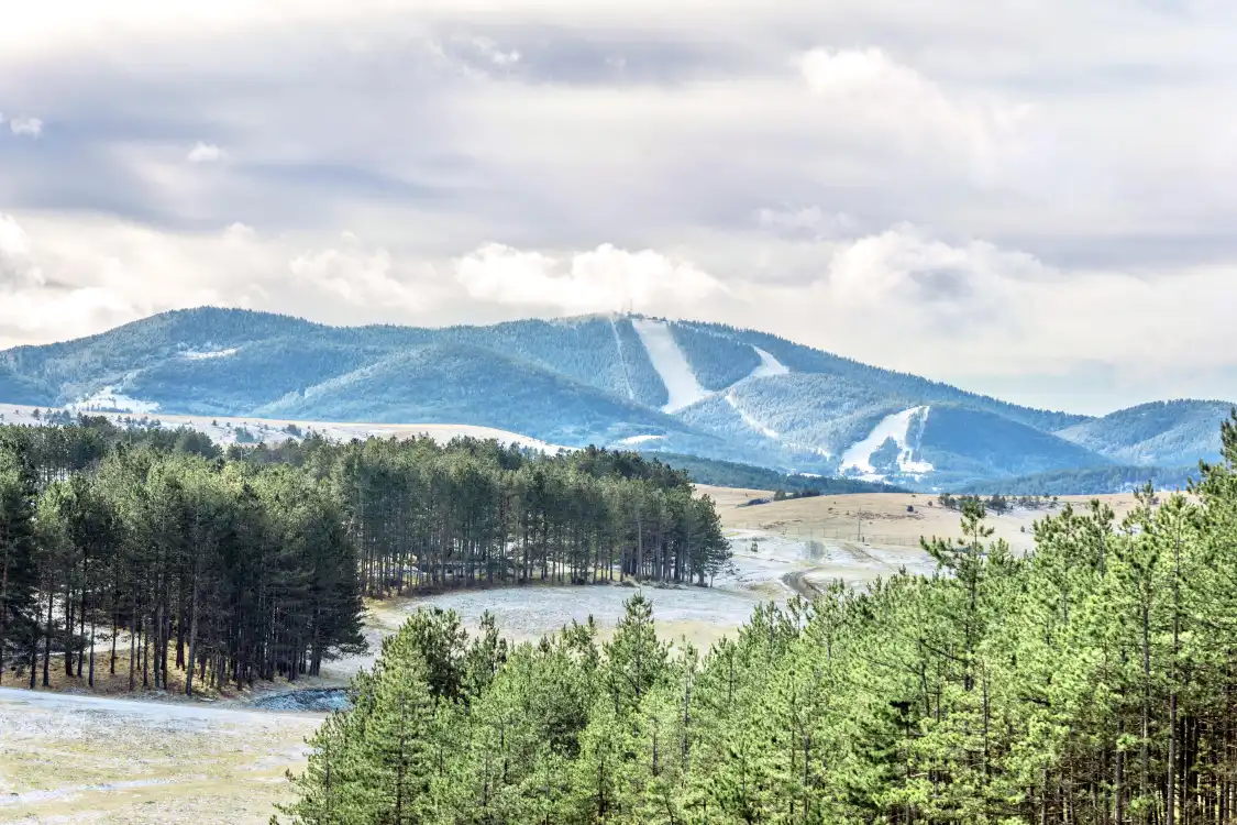 โรงแรมใกล้Mountain Tornik