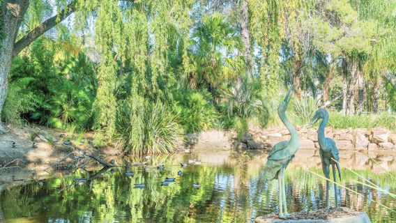 Сити оф Вагга Вагга Ботаник Гарденс