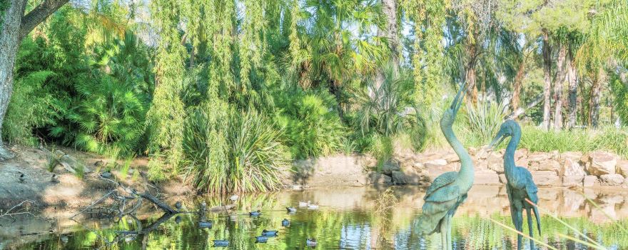 City of Wagga Wagga Botanic Gardens