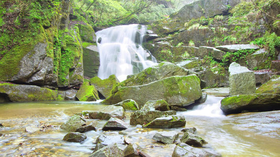 Muwang National Forest Park