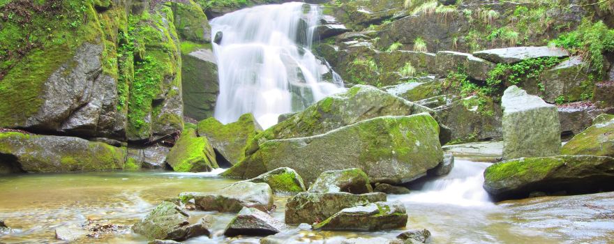 Muwang National Forest Park
