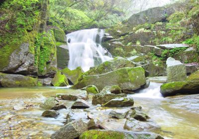 Muwang National Forest Park