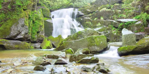 木王國家森林公園