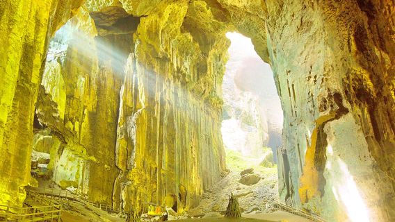 Gomantong Caves