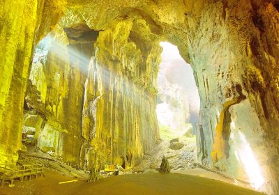 Gomantong Caves