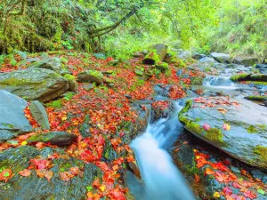 Dakeng Scenic Area