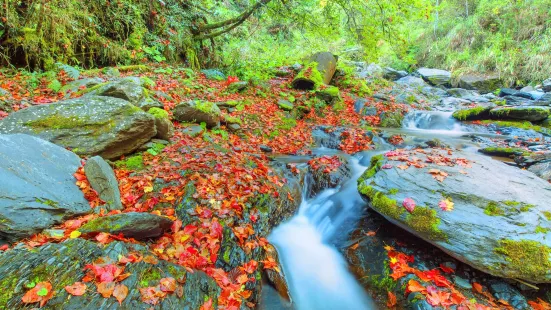 Dakeng Scenic Area