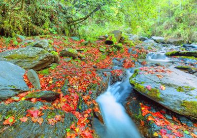 Dakeng Scenic Spot