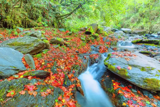 Hoteles cerca de Dakeng Scenic Spot
