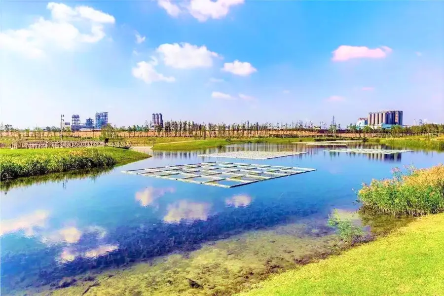 Yingwuzhou Ecology Wetland