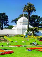 Conservatory of Flowers