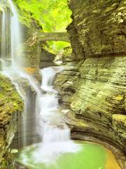 Parc dÉtat de Watkins Glen