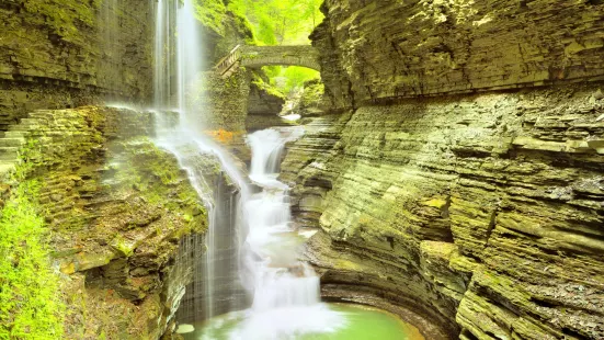 Watkins Glen