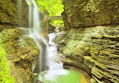 Watkins Glen