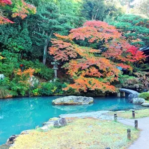青蓮院