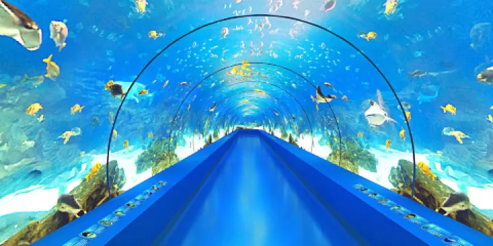 江西瑞金九豐極地海洋世界