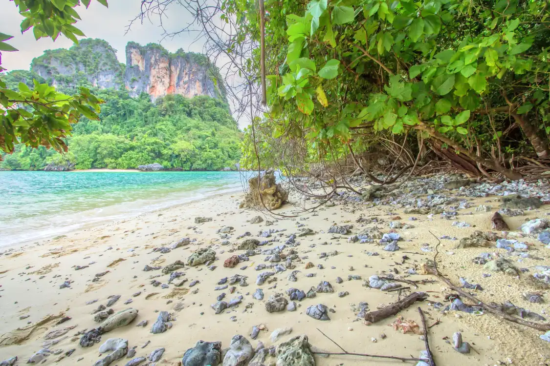 Hotel in zona Pak Bia Island