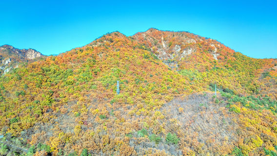 Buyun Mountain