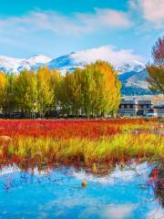 Red Grassland