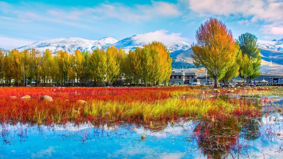 Daocheng