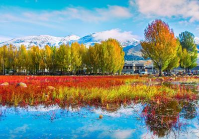 Red Grassland