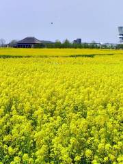 Fukushimagata Lagoon