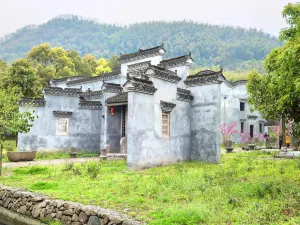 The Ancient Street of Yangloudong