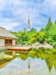 植物與花卉公園