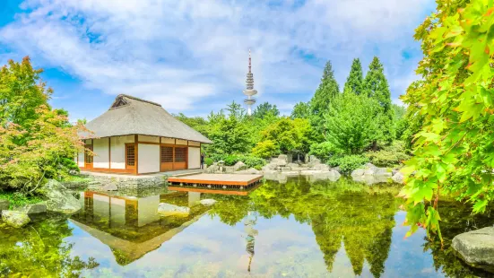 植物與花卉公園