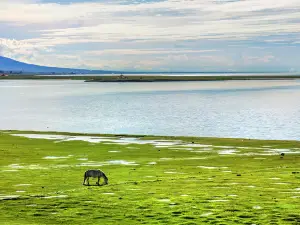 Qinghai Lake Fairy Bay