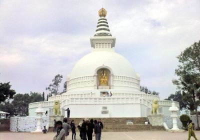 Peace Pagoda, Darjeeling