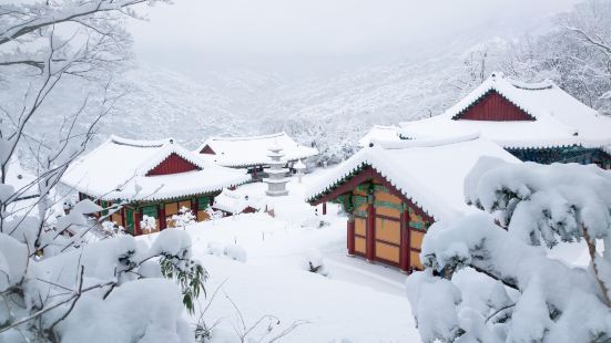 元曉寺