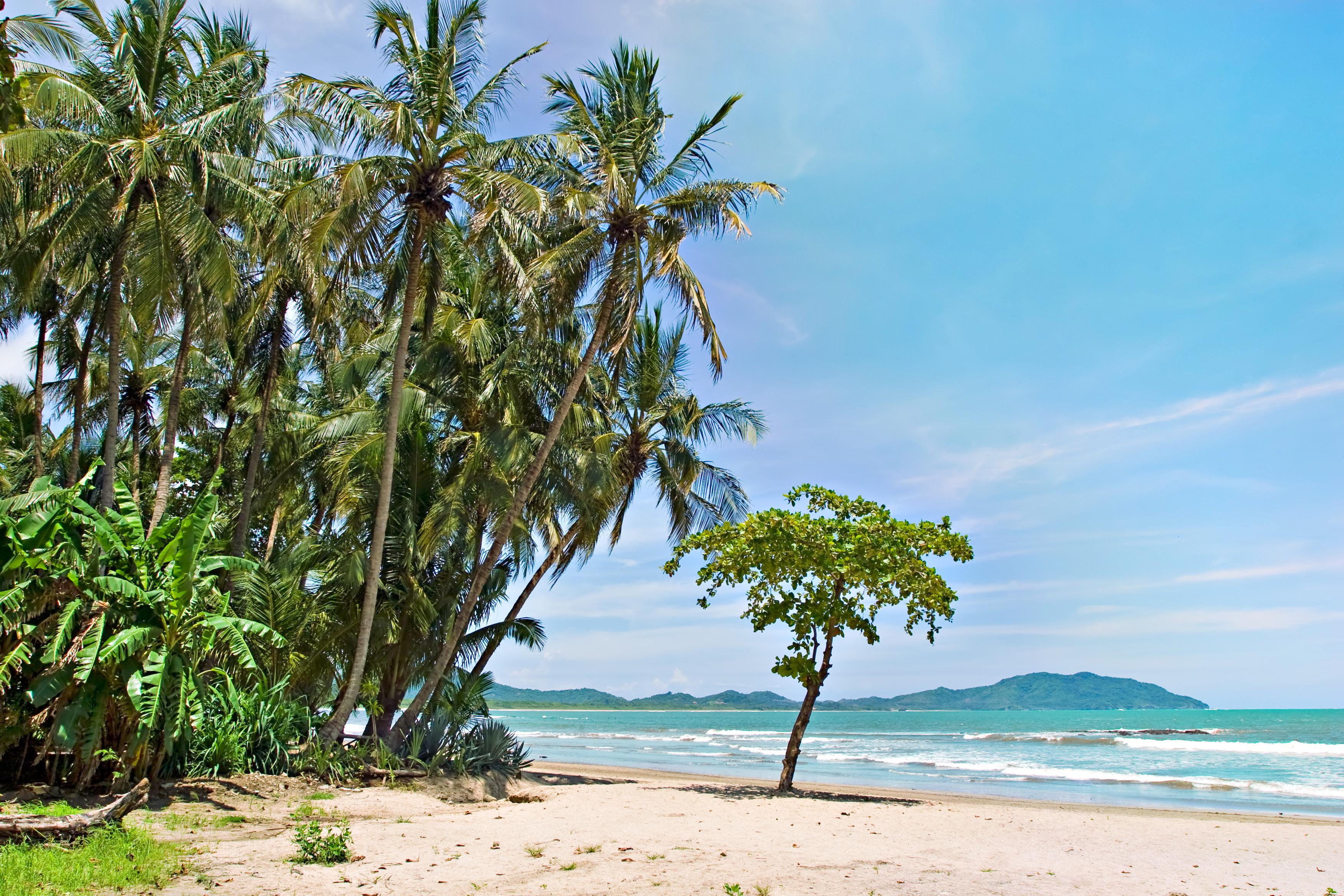 10 Best Things To Do In Tamarindo Guanacaste Tamarindo Travel Guides 21 Trip Com