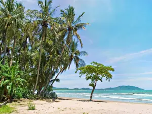 Tamarindo Beach Costa Rica