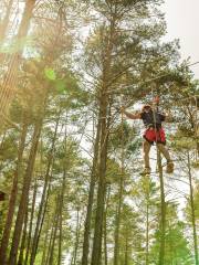 Eagle Track Zipline