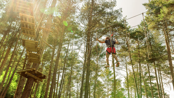 Eagle Track Zipline