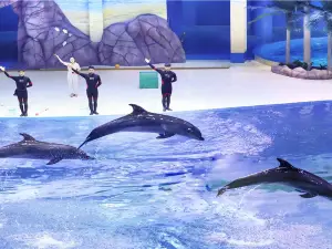 Shouguang Polar Ocean World