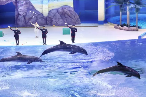 Shouguang Polar Ocean World