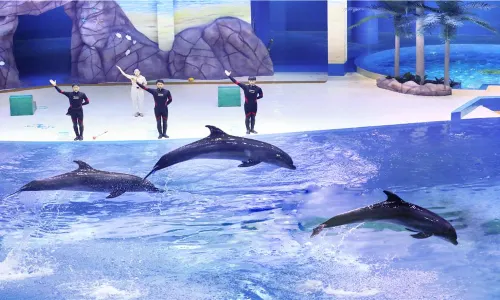 Shouguang Polar Ocean World