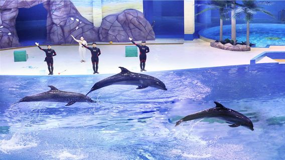 Shouguang Polar Ocean World