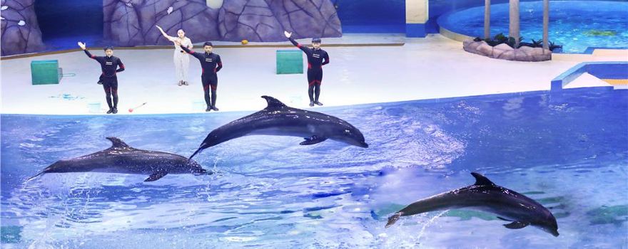Shouguang Polar Ocean World