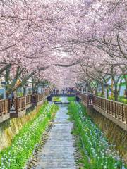 Yeojwacheon River