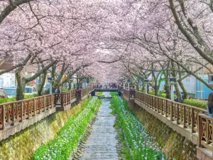 Yeojwacheon River