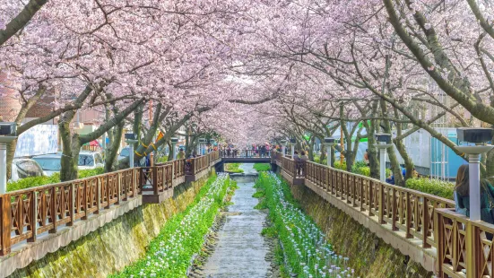 Yeojwacheon River