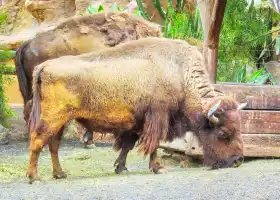 Rancho Texas Lanzarote park