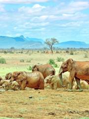 Tsavo National Park