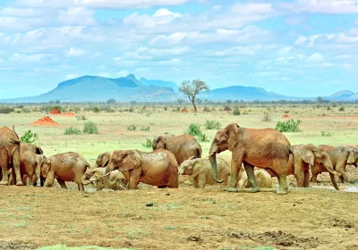 Tsavo National Park