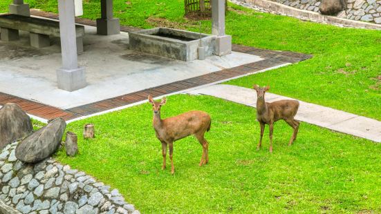 Kuala Lumpur Deer Park