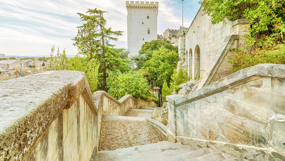 Avignon