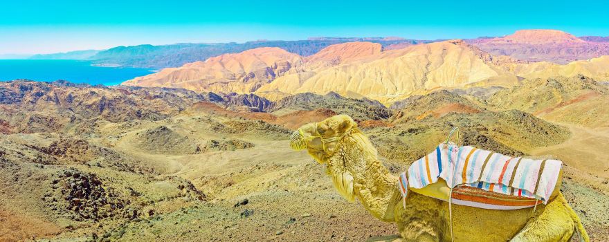 Eastern Desert